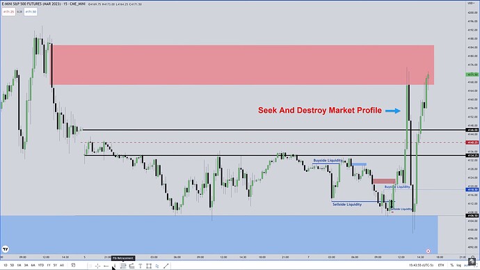 Seek And Destroy Market Profile