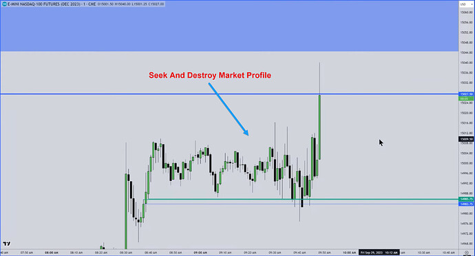 NQ - Seek And Destroy Market Profile